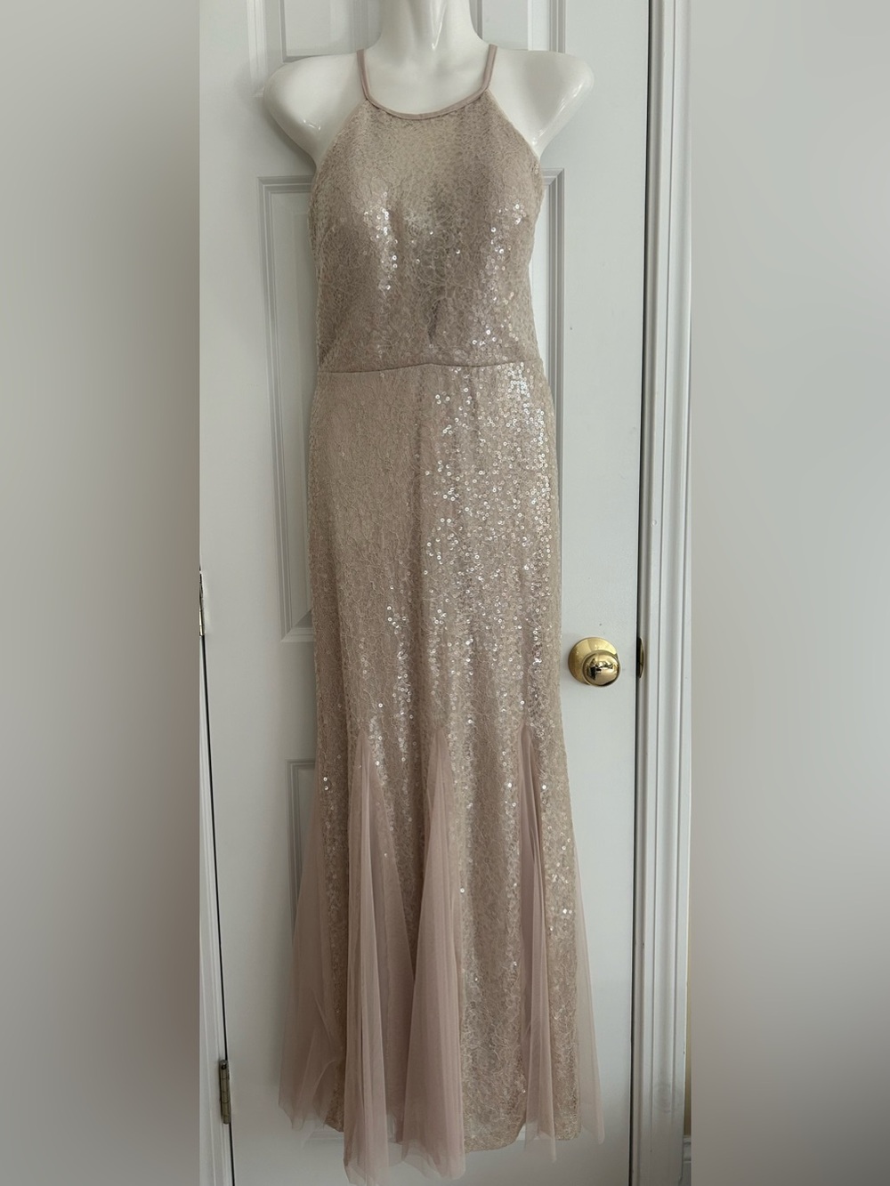 Xscape Blush Sequin Maxi Dress